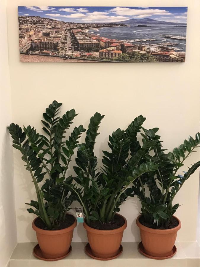 Costa Apartment נאפולי מראה חיצוני תמונה
